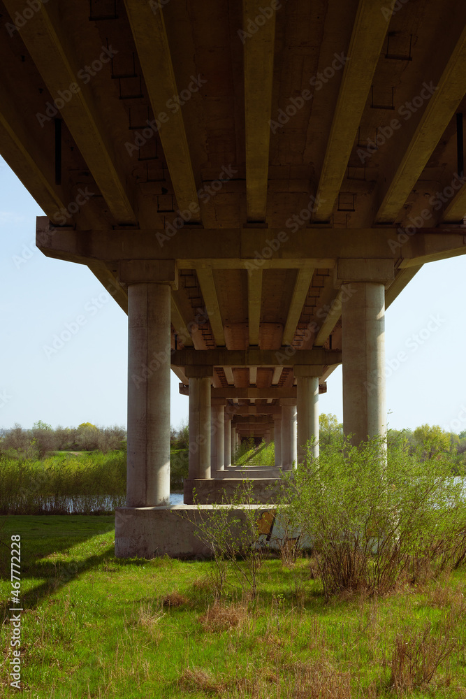 Walk under the road bridge in the thickets of river Walk under the road bridge in the thickets of river