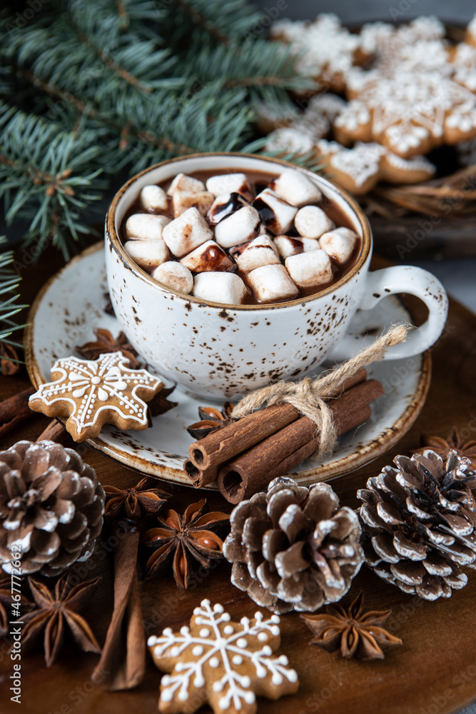 Hot cocoa with marshmallows and gingerbread cookies Hot cocoa with marshmallows and gingerbread cookies