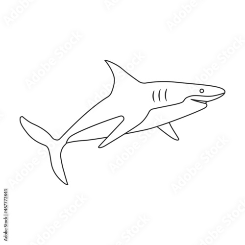 Shark outline vector icon.Outline vector illustration fish of sea. Isolated illustration of shark icon on white background.