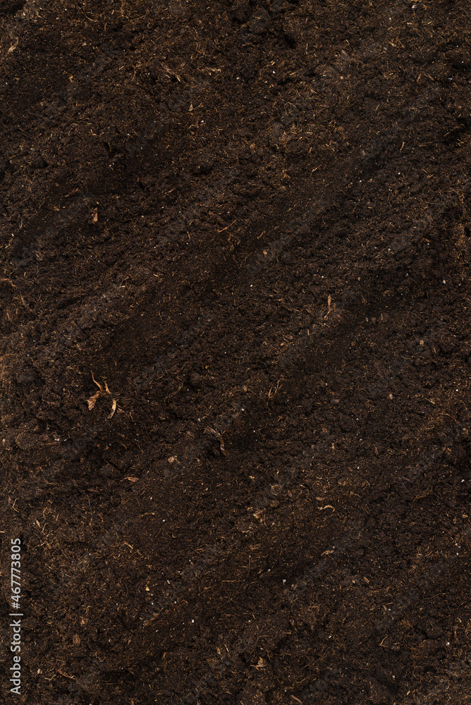 Soil for plant isolated on white background. Soil for plant isolated on white background.