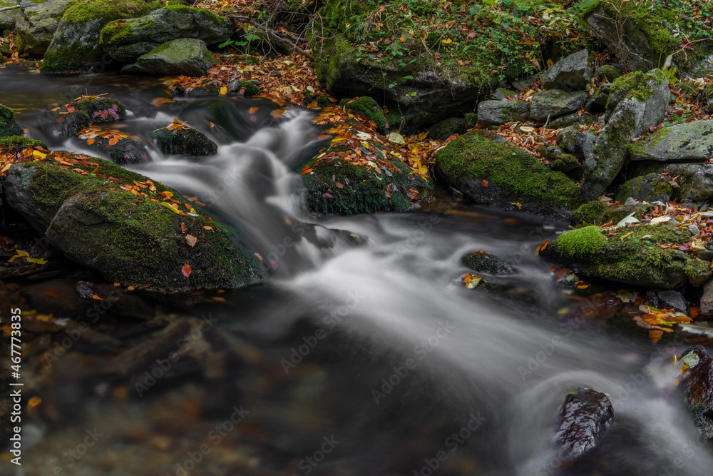 Sumny and Bily creek in autumn morning in Jeseniky mountains