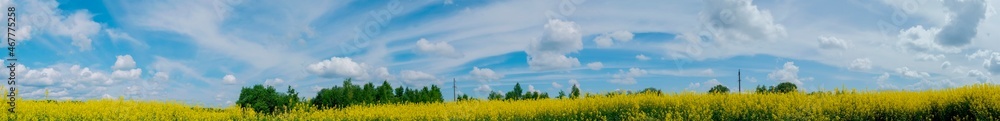 Obraz premium Panorama of yellow rapeseed valley. The mountains and the beautiful spring sky in the background