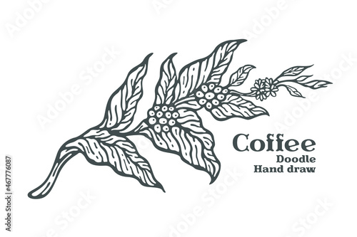Branch of coffee with fruits and flowers hand drawn illustration