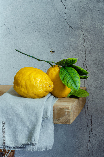 Still Life with lemon and bee