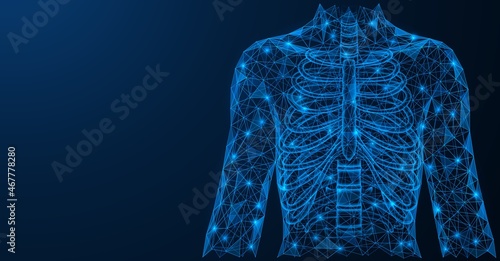 The human chest. The front part of the spine with ribs. A low-poly model of interconnected lines and points. Blue background.