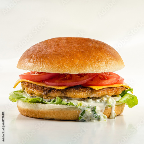 hamburger on a white background 1