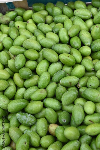 olive verdi italiane
