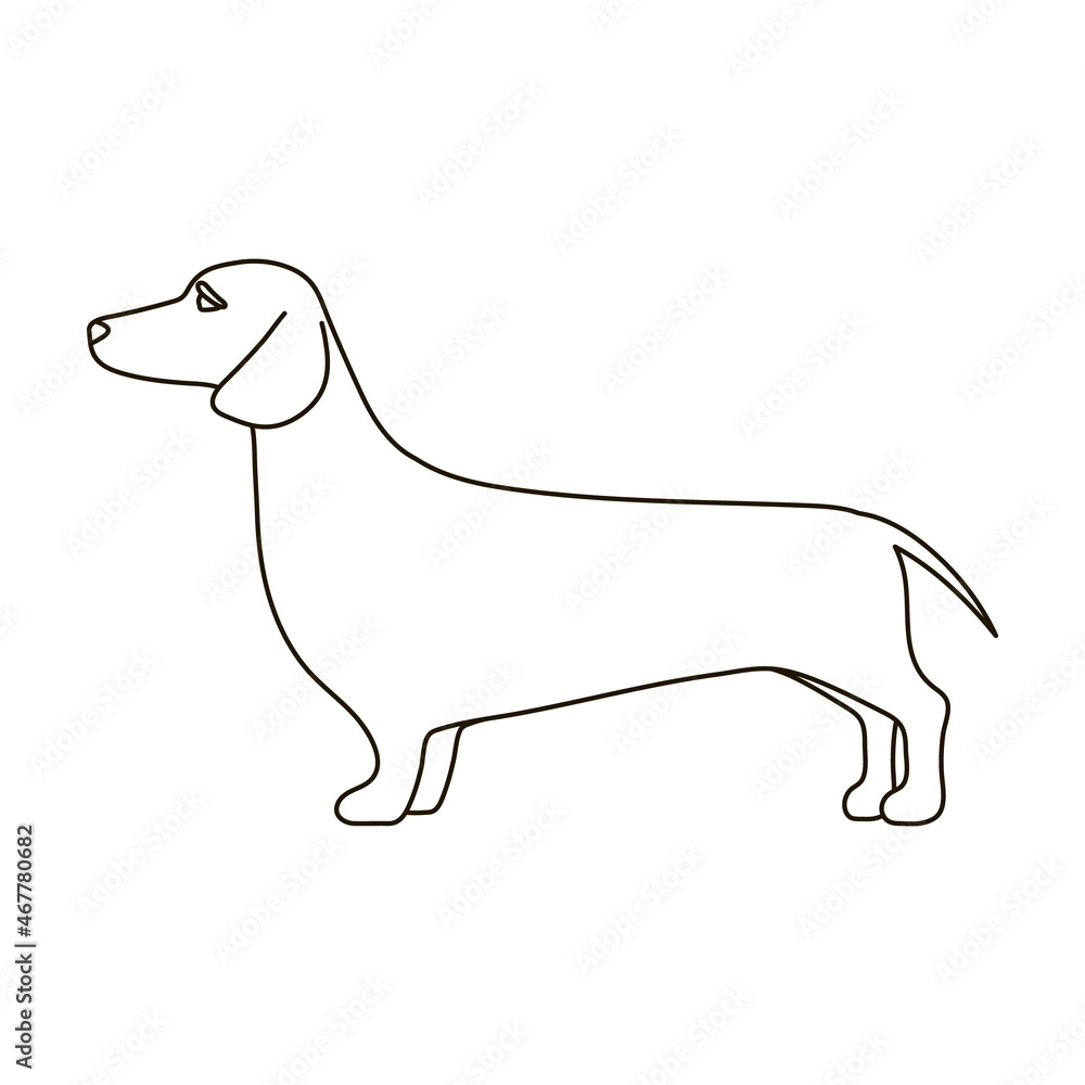 Dachshund vector icon.Outline vector icon isolated on white background dachshund.