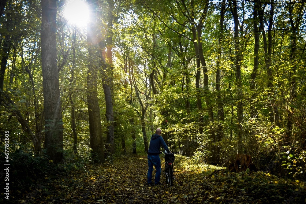 Fototapeta premium Mann mit dem Rad im Wald