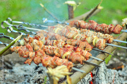 Appetizing barbecue on coals with smoke. Fried meat in nature.