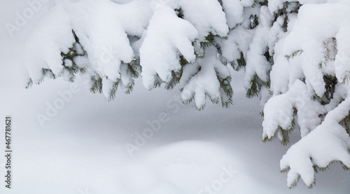 Nature Winter Christmas Frame