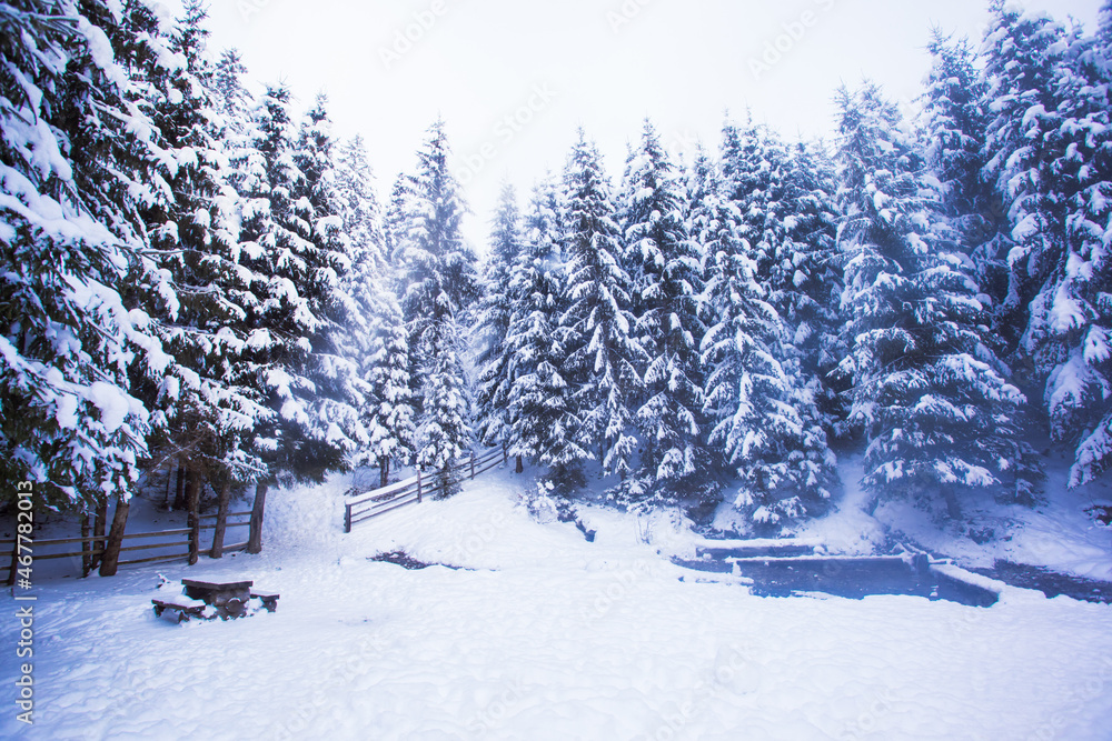Fototapeta premium Winter in the mountains and windbreak after snowfall