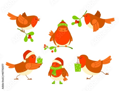 Christmas bird set. Christmas robin vector illustration