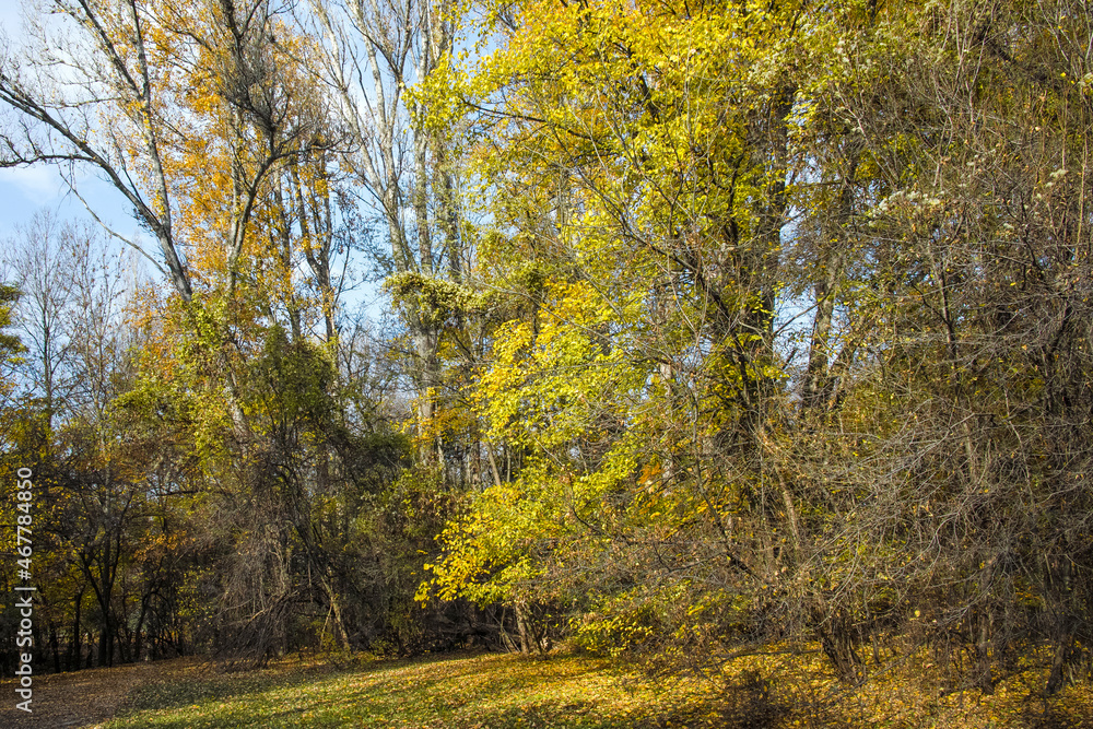 Fototapeta premium Autumn view of South Park in city of Sofia, Bulgaria