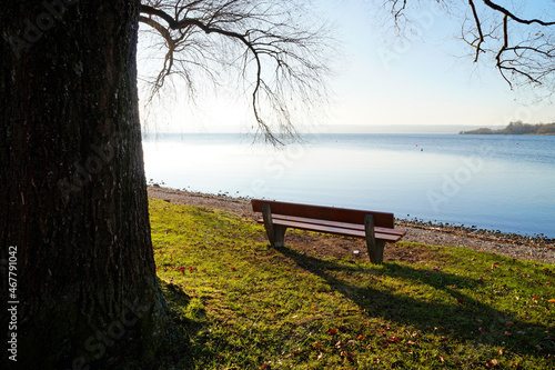 a wooden bench by Lake Ammersee in Herrsching, Bavaria at the sunset on a clear December day (Germany) 