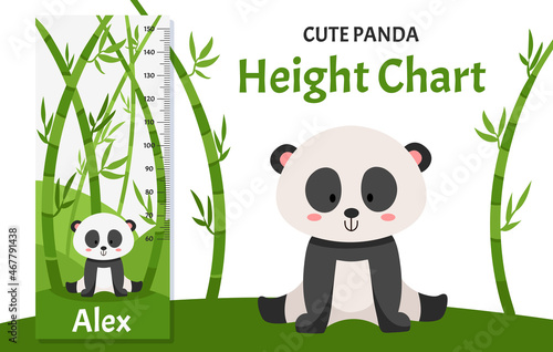 Height chart with cute little panda in bamboo forest. Children illustration in vector flat style