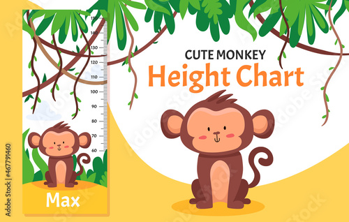 Height chart with cute monkey in jungle forest with trees and liana. Children illustration in vector flat style