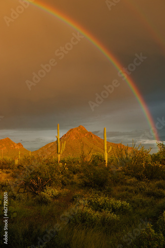 Desert mountains and cacti in summer with bright rainbow during a storm with sunlight 