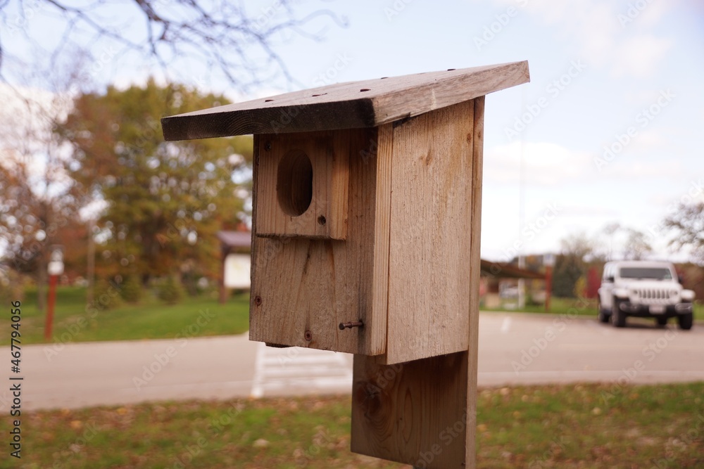 bird house on a tree