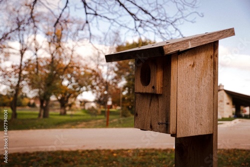wooden bird house