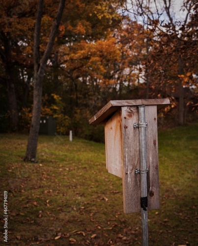 bird house in autumn