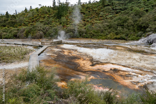 Silica mineral formation from thermal activity at Orakei Korako geothermal area in Rotorua, New Zealand