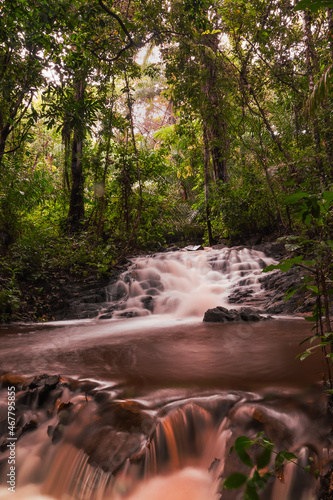 Reserva Ecológica da Sapiranga, Praia do Forte, Mata de São João, Bahia, Brazil