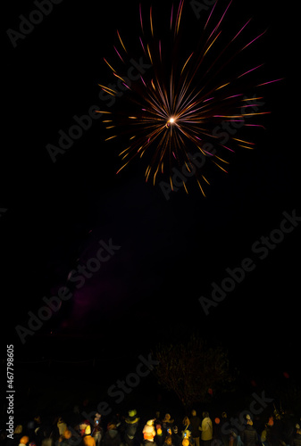 Crowd watching an Oxfordshire firework display on Bonfire Night at Bicester Hotel & Spa photo