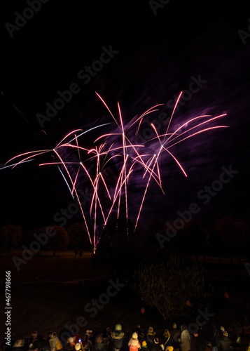 Crowd watching an Oxfordshire firework display on Bonfire Night at Bicester Hotel & Spa photo