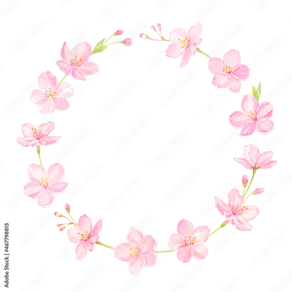 水彩で描いた桜の花の円フレーム