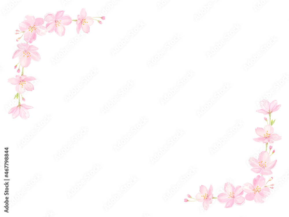 水彩で描いた桜のフレーム　ベクター	