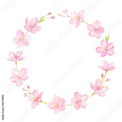水彩で描いた桜の花の円フレーム