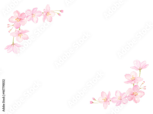 水彩で描いた桜のフレーム　ベクター © miko