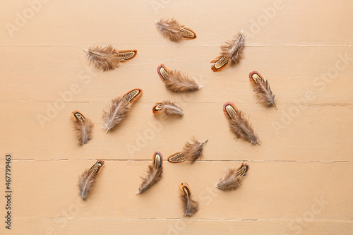 Beautiful pheasant feathers on beige wooden background