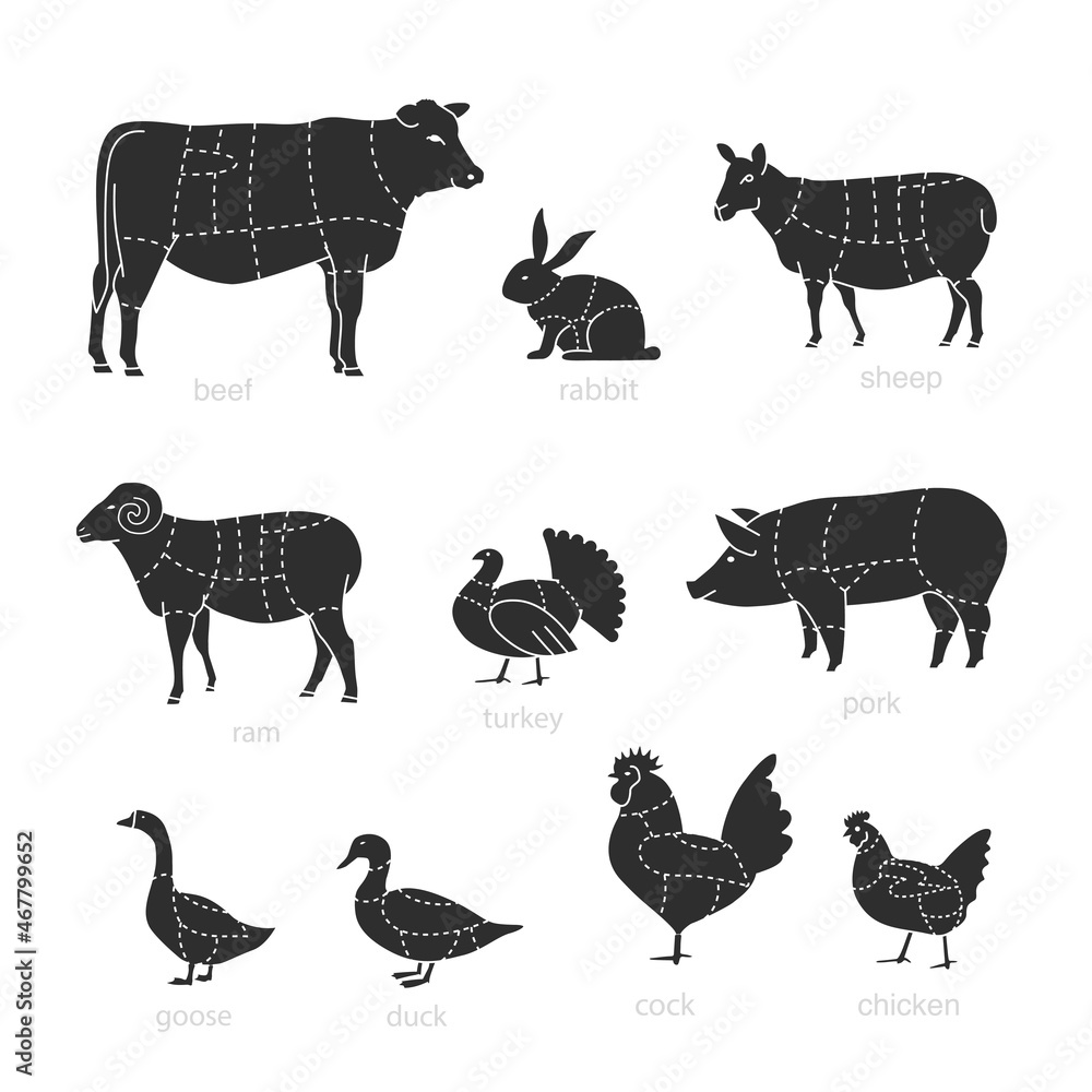 Vecteur Stock Butcher diagram of cutting meat. Set of vector signs on ...