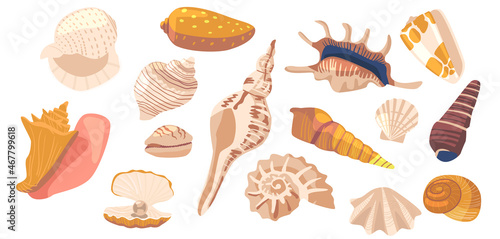 Set of Seashell and Coral Sea Beach Marine Snail, Clam and Conch, Mollusk, Shellfish, Scallop and Cockleshell, Nautilus