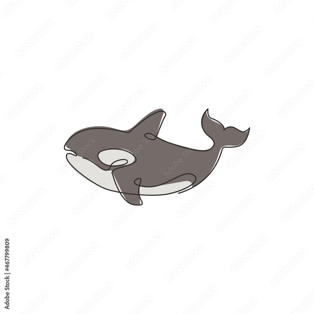 One continuous line drawing of cute orca for marine logo identity. Killer whale mascot concept for sea world show icon. Modern single line draw design vector illustration One continuous line drawing of cute orca for marine logo identity. Killer whale mascot concept for sea world show icon. Modern single line draw design vector illustration