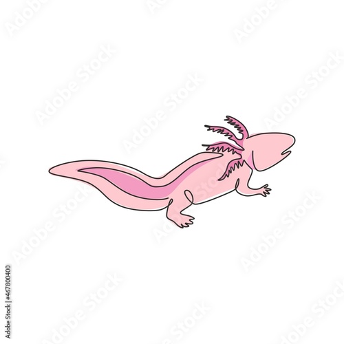 One single line drawing of adorable axolotl for company logo identity. Neotenic salamander mascot concept for aquatic creature icon. Modern continuous line draw design graphic vector illustration