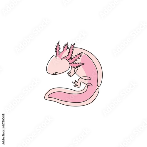 One continuous line drawing of cute axolotl for company logo identity. Water salamander mascot concept for pet lover club icon. Modern single line draw design graphic vector illustration