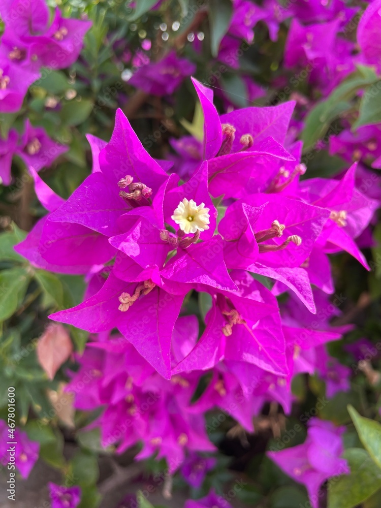 Summertime vacation holiday photos 