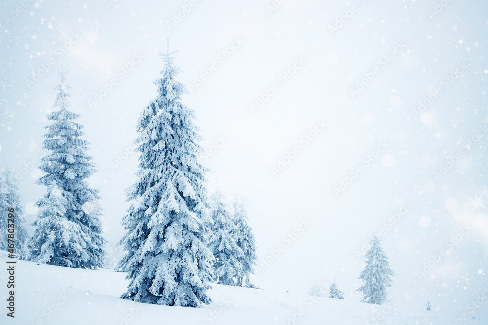 magic winter landscape with snowy fir trees magic winter landscape with snowy fir trees