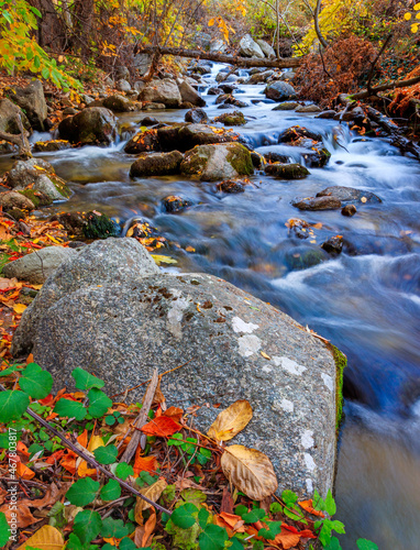 stream in autumn