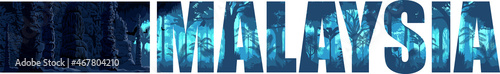 vector panorama of Malaysia with jungle raimforest, carst cave and bats