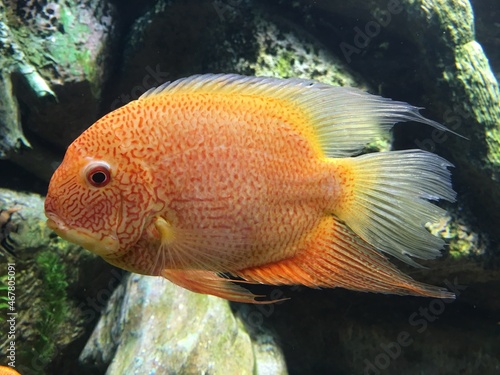 Animales y naturaleza