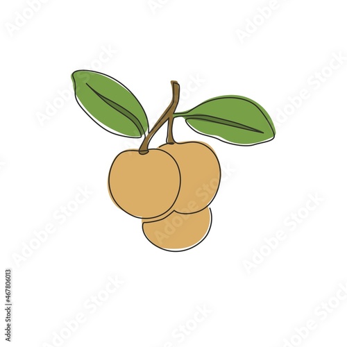 One continuous line drawing of whole healthy organic longan for orchard logo identity. Fresh fruitage concept for fruit garden icon. Modern single line draw graphic design vector illustration