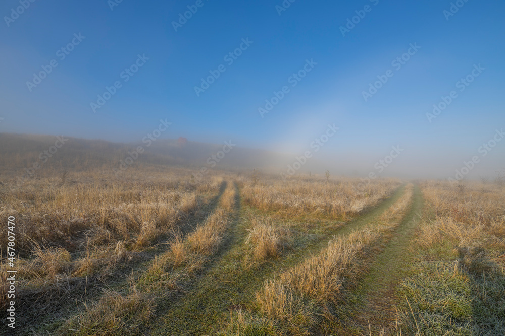Obraz premium Autumn landscape in the early morning. Fog-covered expanses through which the first rays of the rising sun pass. Trees and hills in the fog. Dawn on a cold autumn morning.