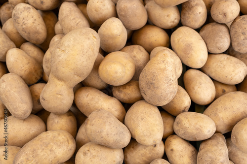 Heap of white potatoes  top view Raw Food background