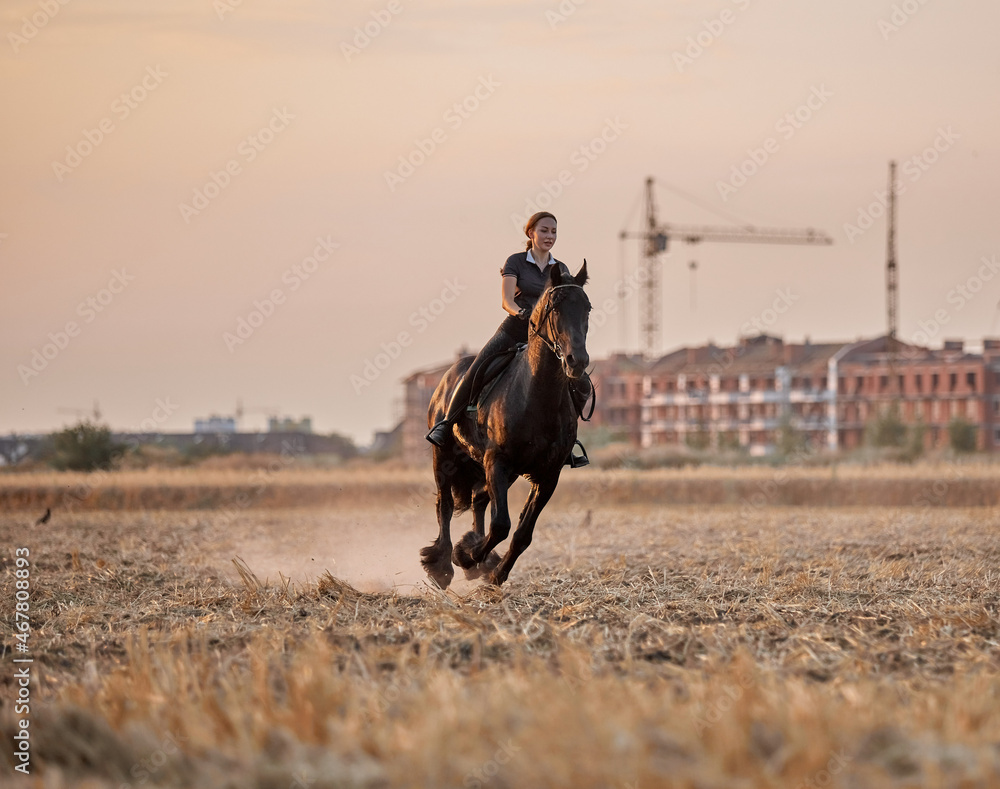 Girl riding a friesian horse in a field at sunset Girl riding a friesian horse in a field at sunset