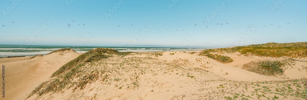 Sand dunes on the beach. California landscape, bright sunny day, clear blue sky background, panoramic view