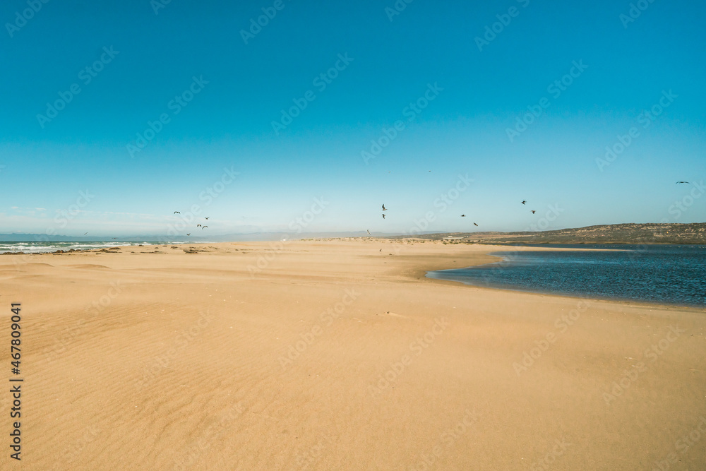 Where the river merges with the ocean. California beach landsape, blue sky background
